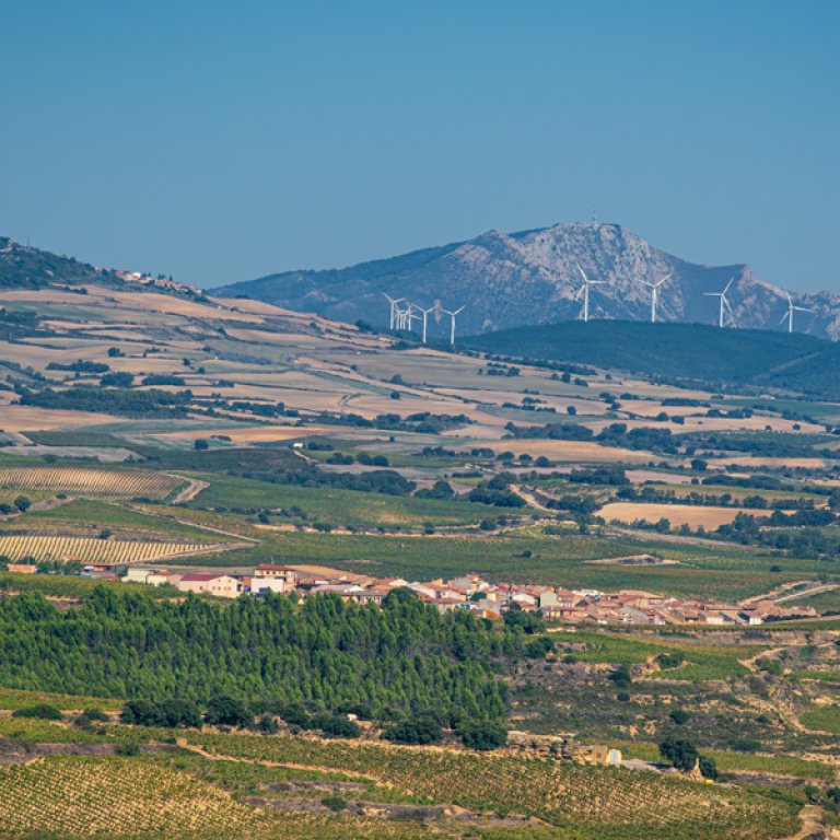 ECOREINARES