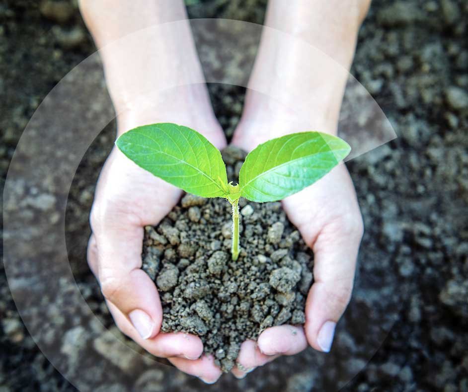 Por un planeta más verde