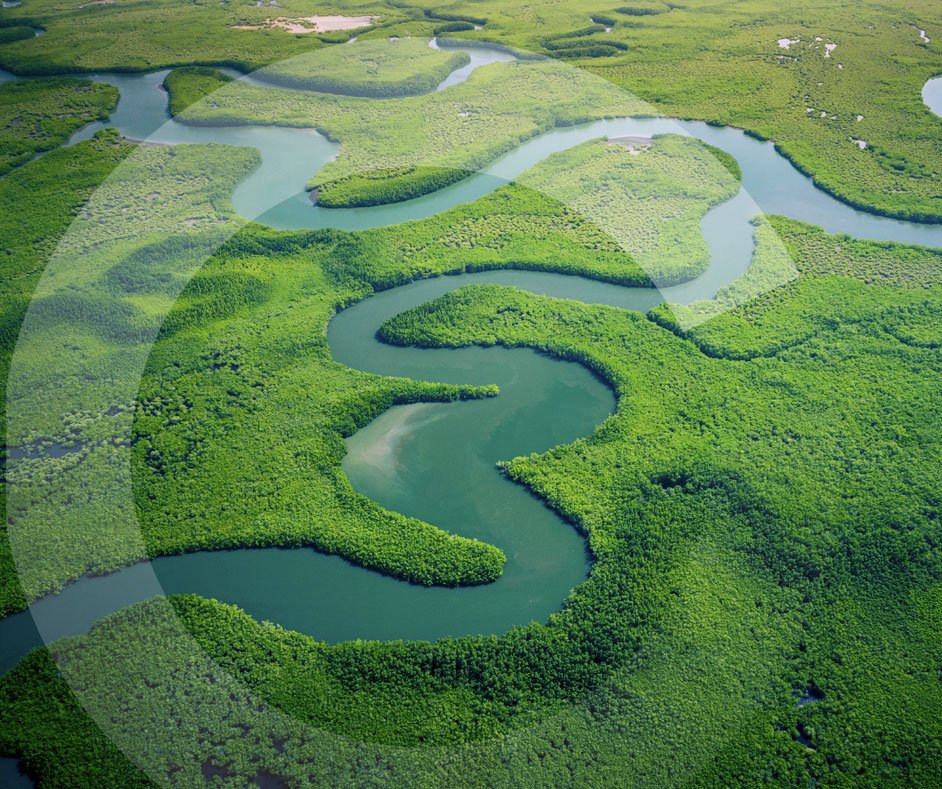 Por Un Plantea Más Verde